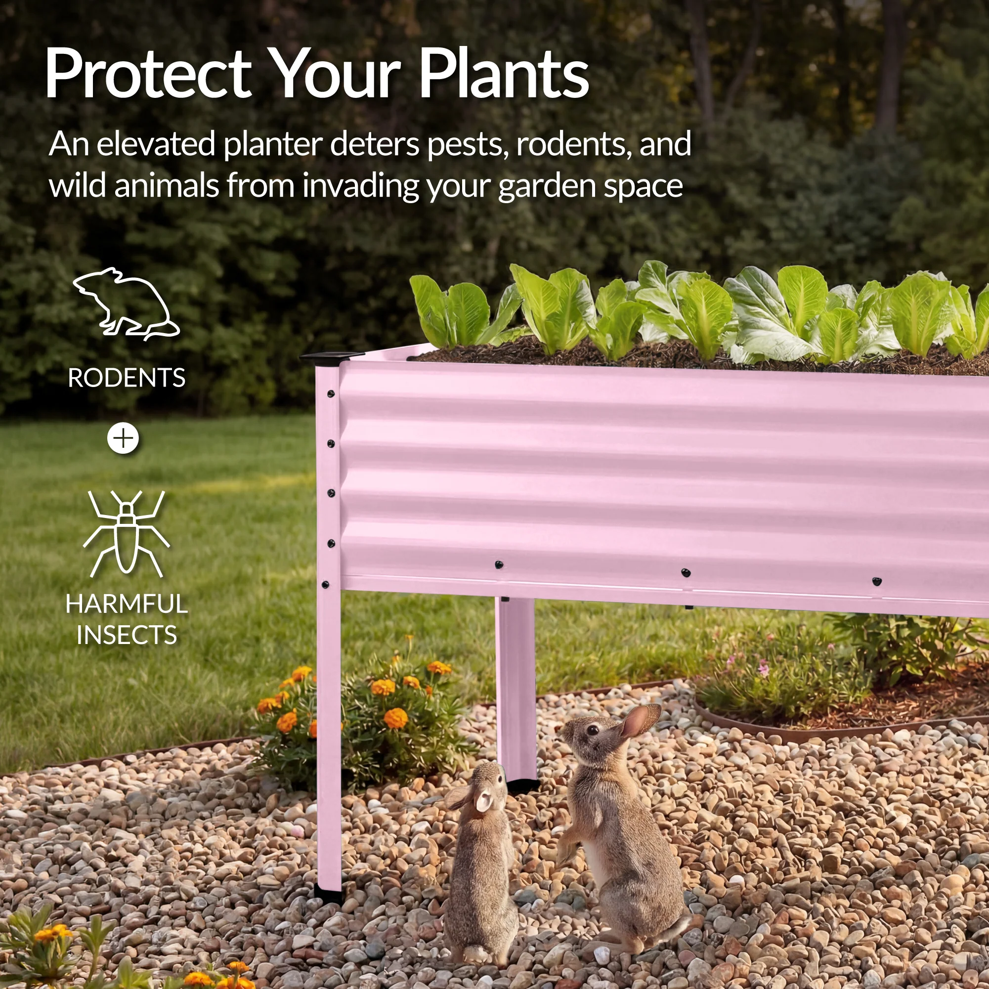 Product image 115