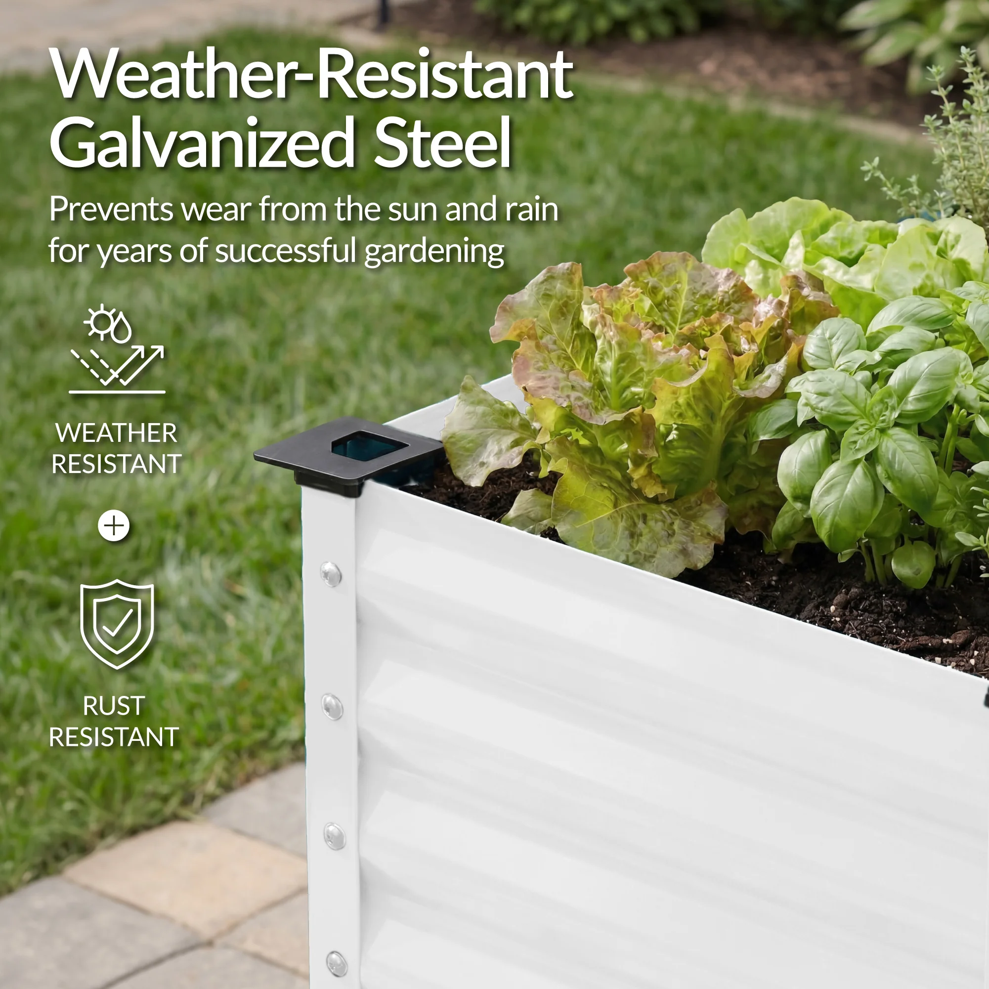 Product image 123