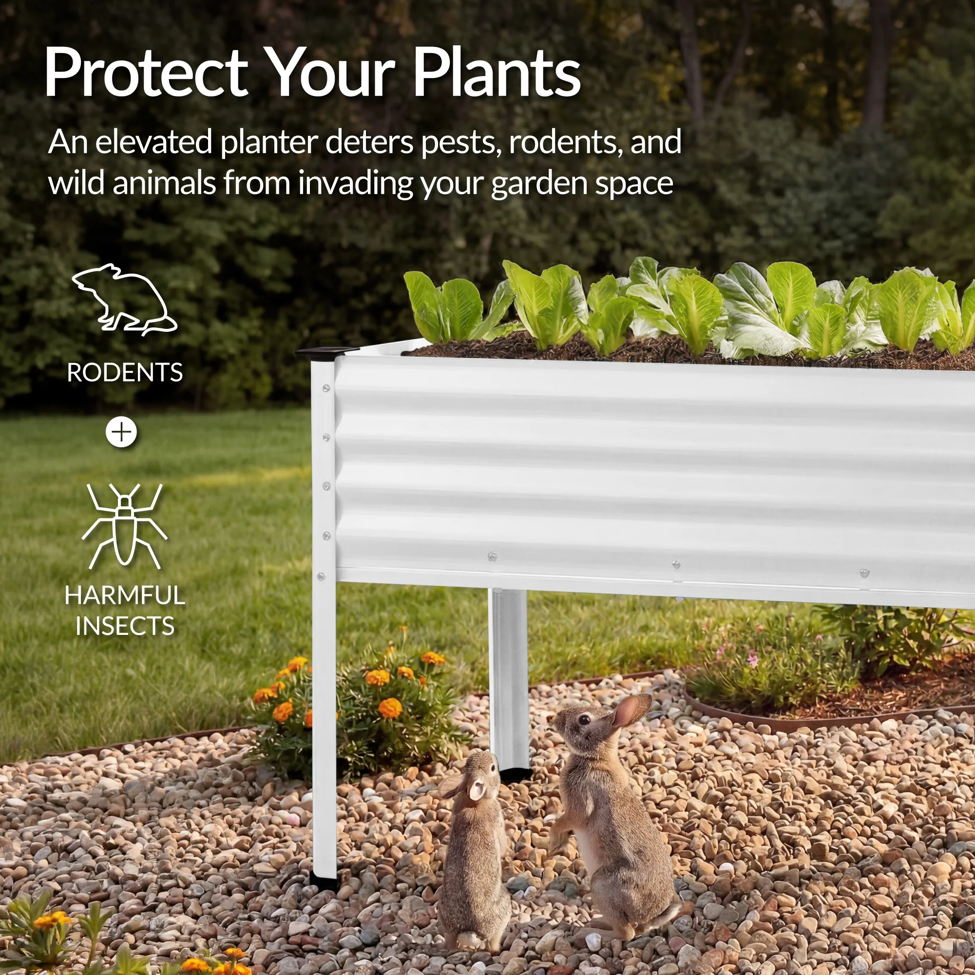 Product image 124