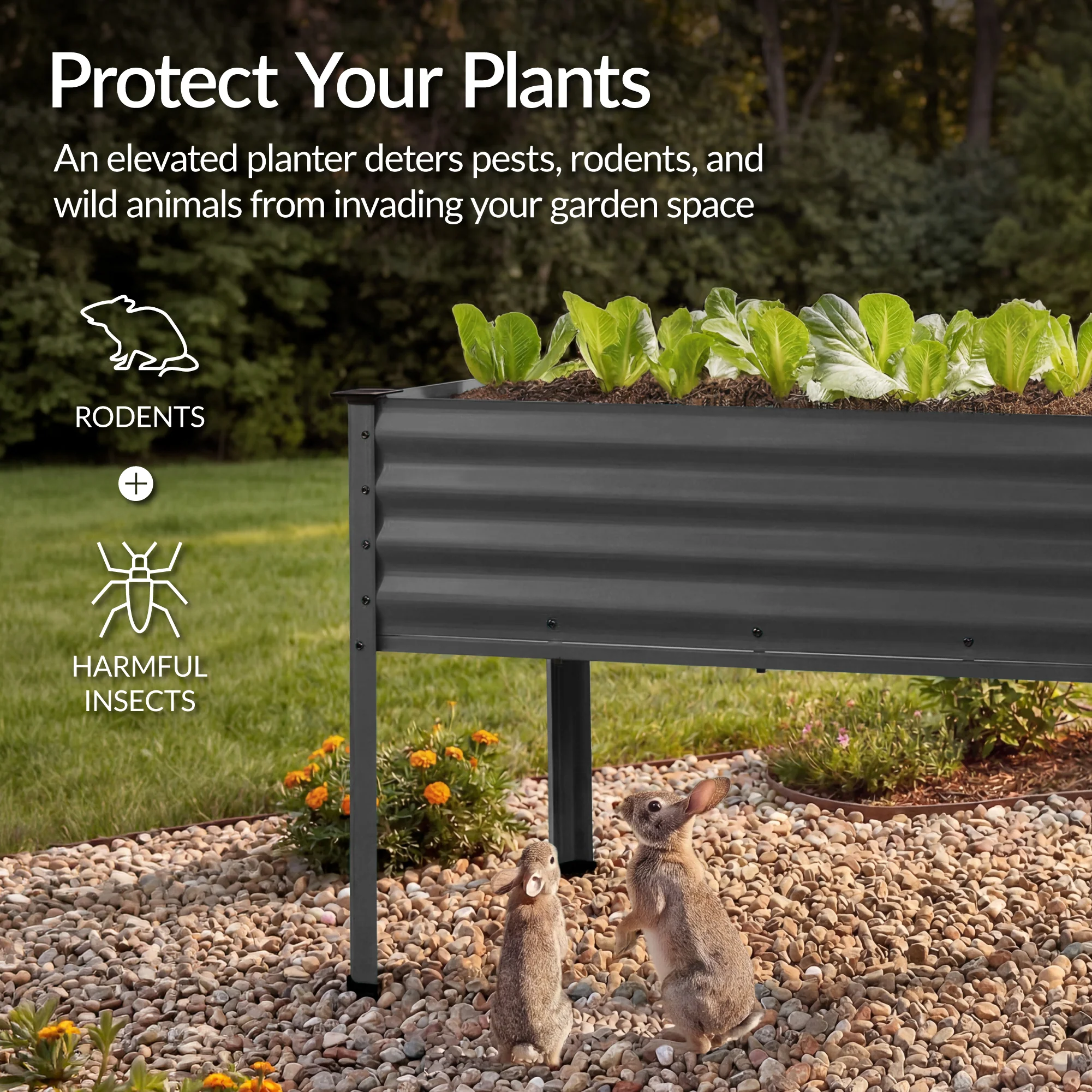 Product image 142