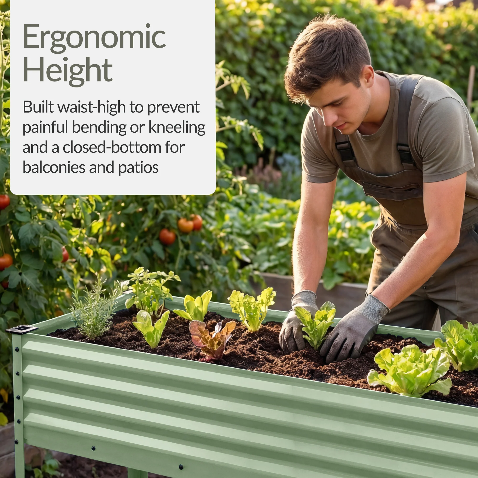 Product image 67
