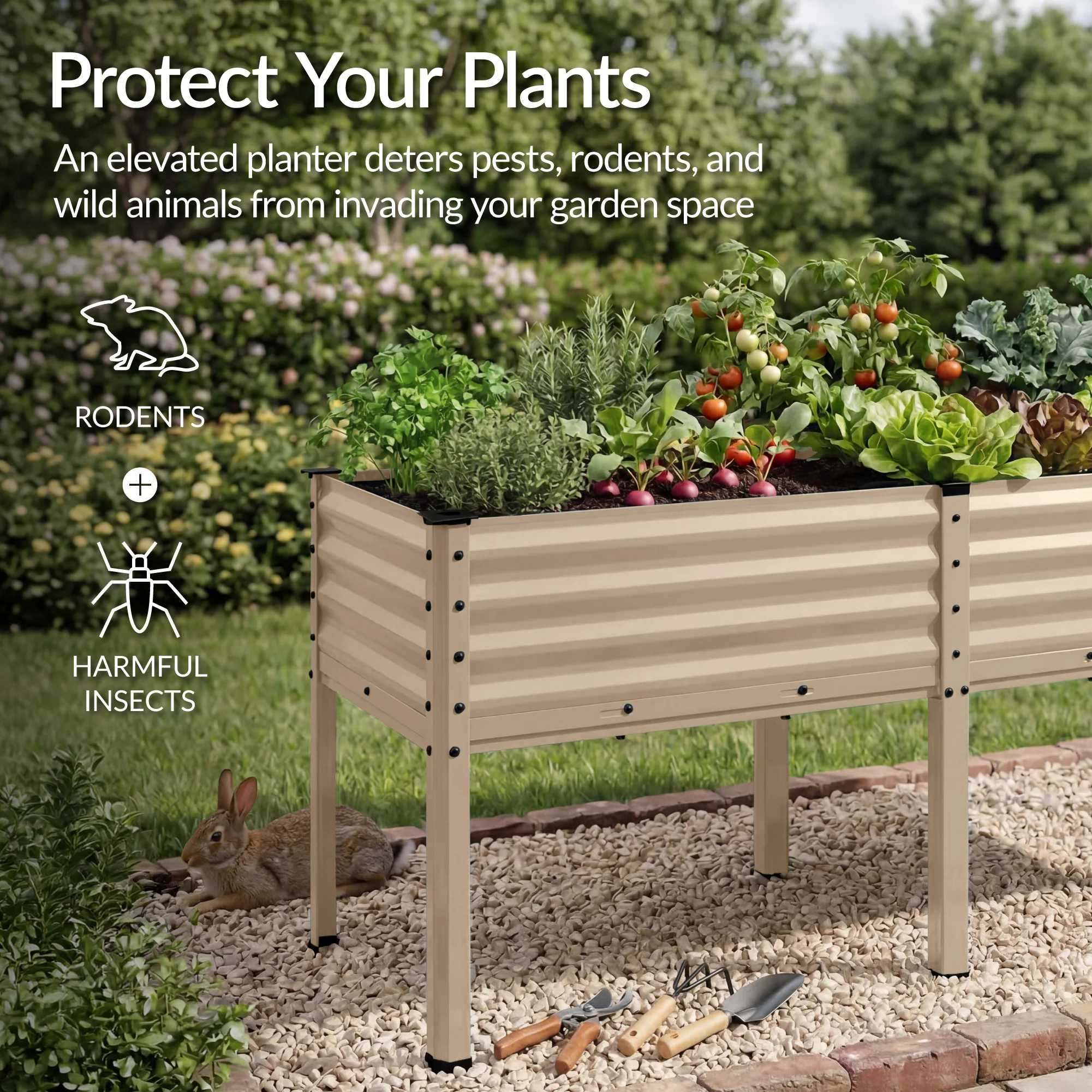 Product image 107