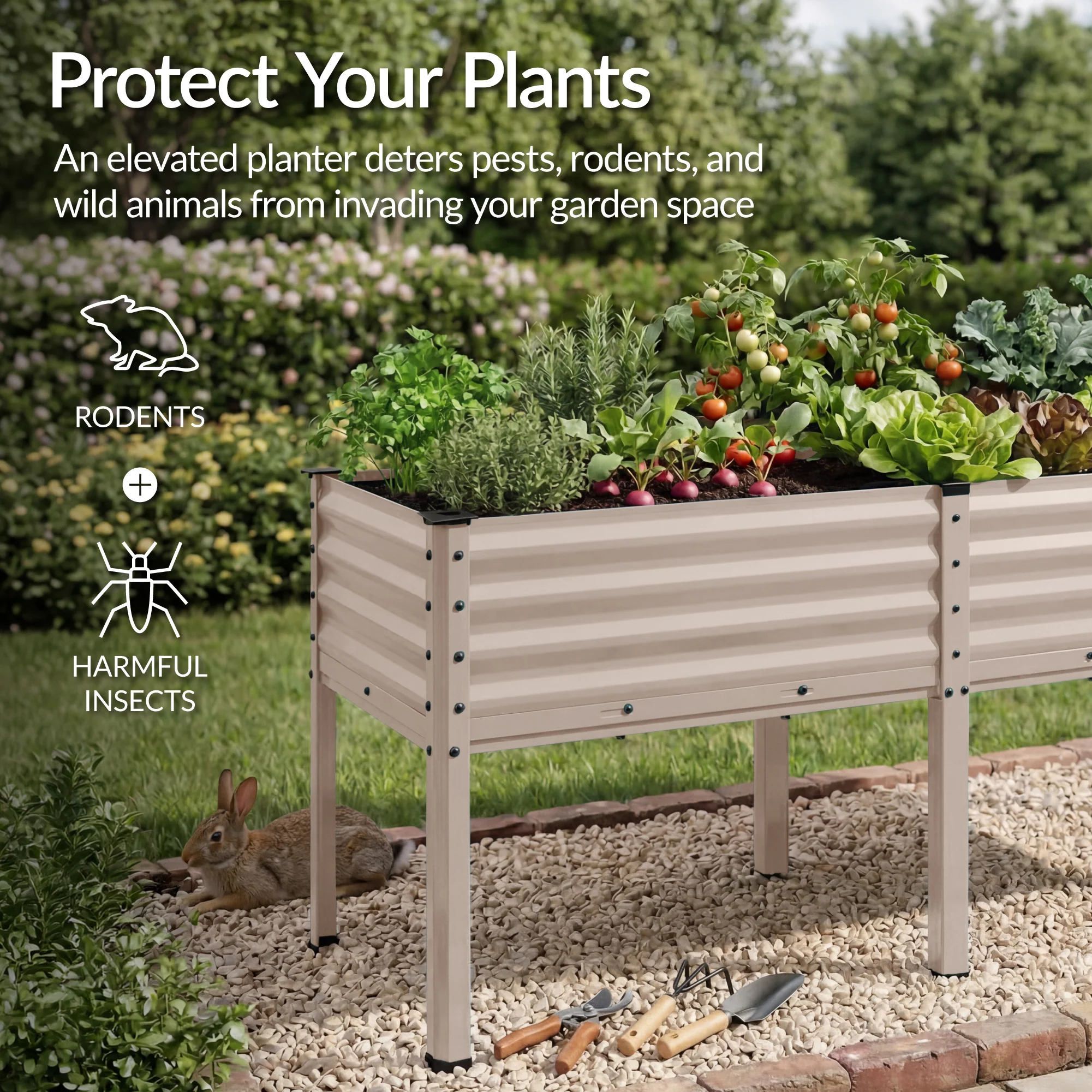 Product image 53
