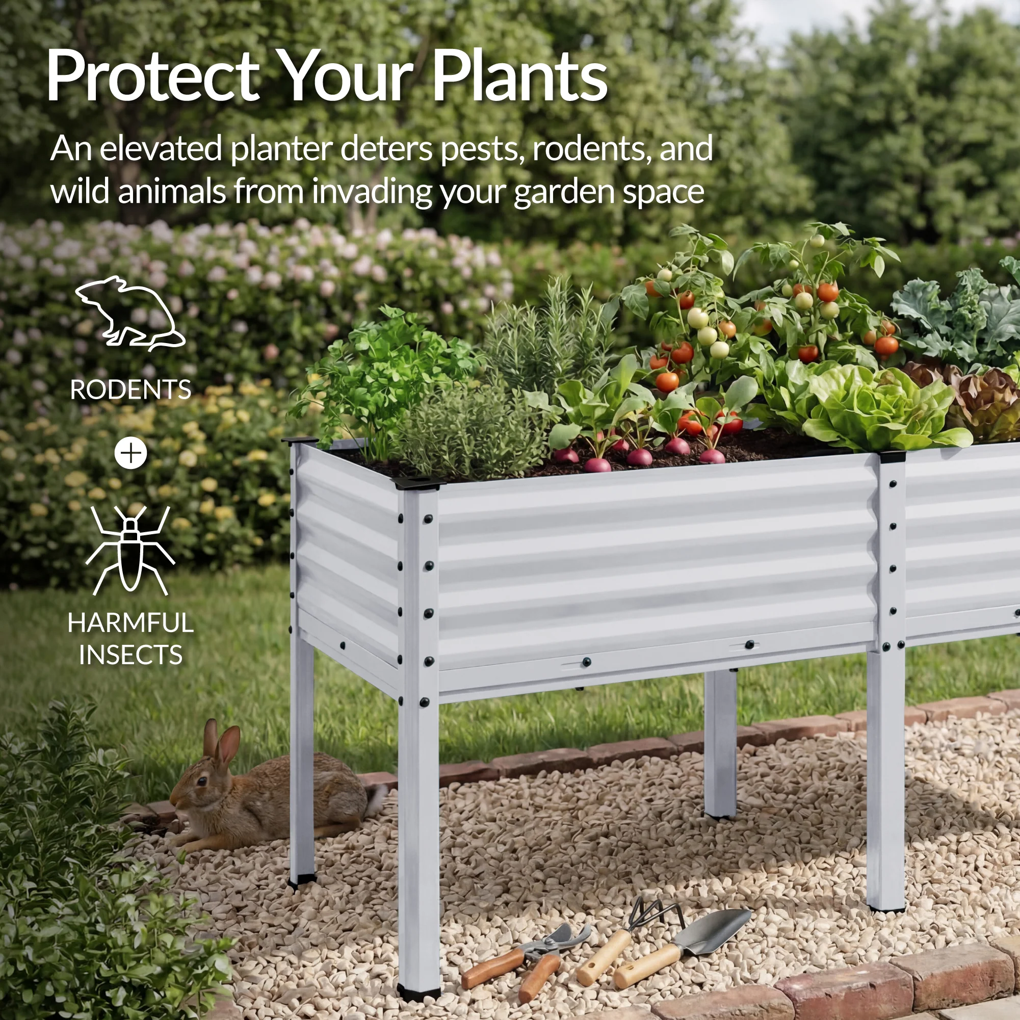Product image 62