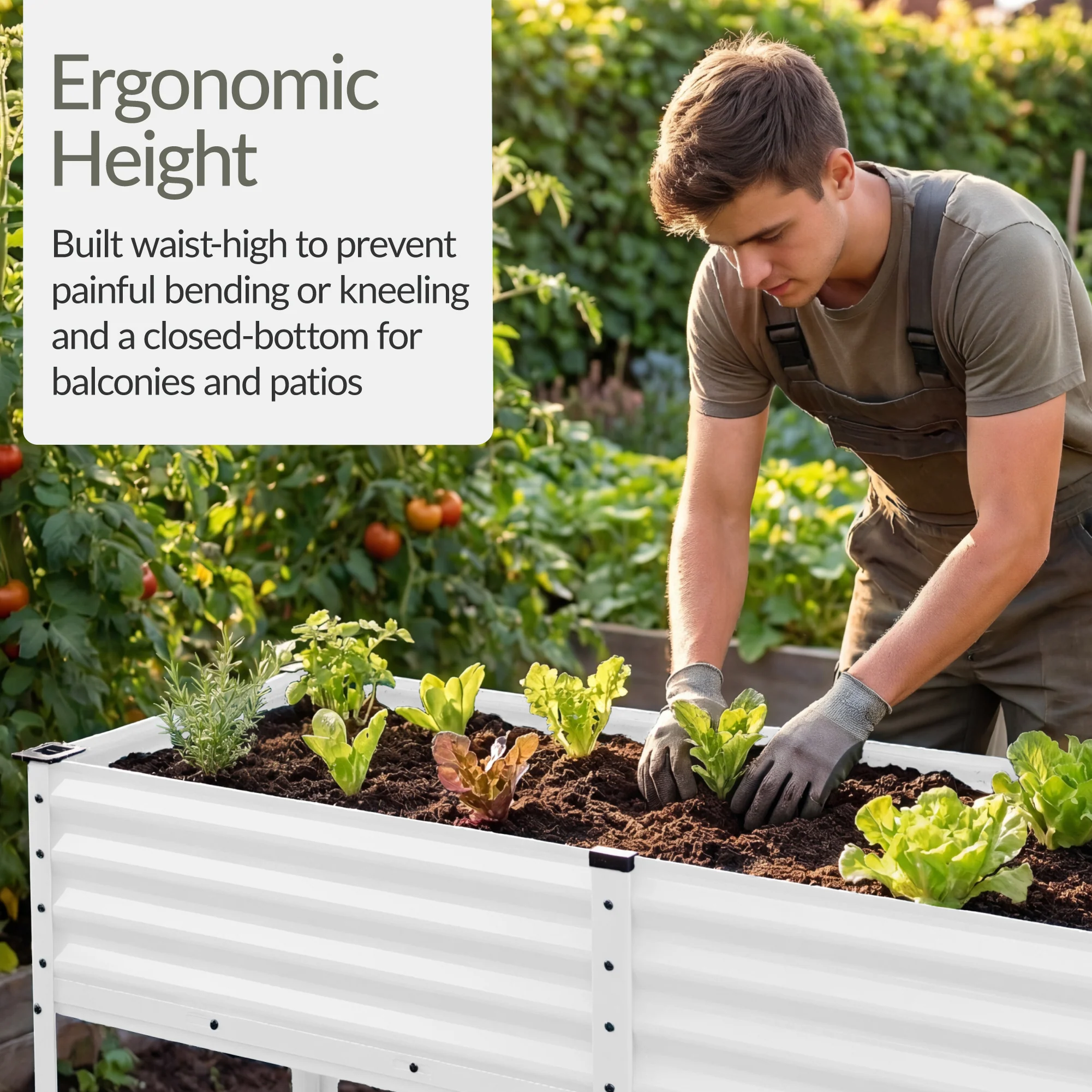 Product image 77