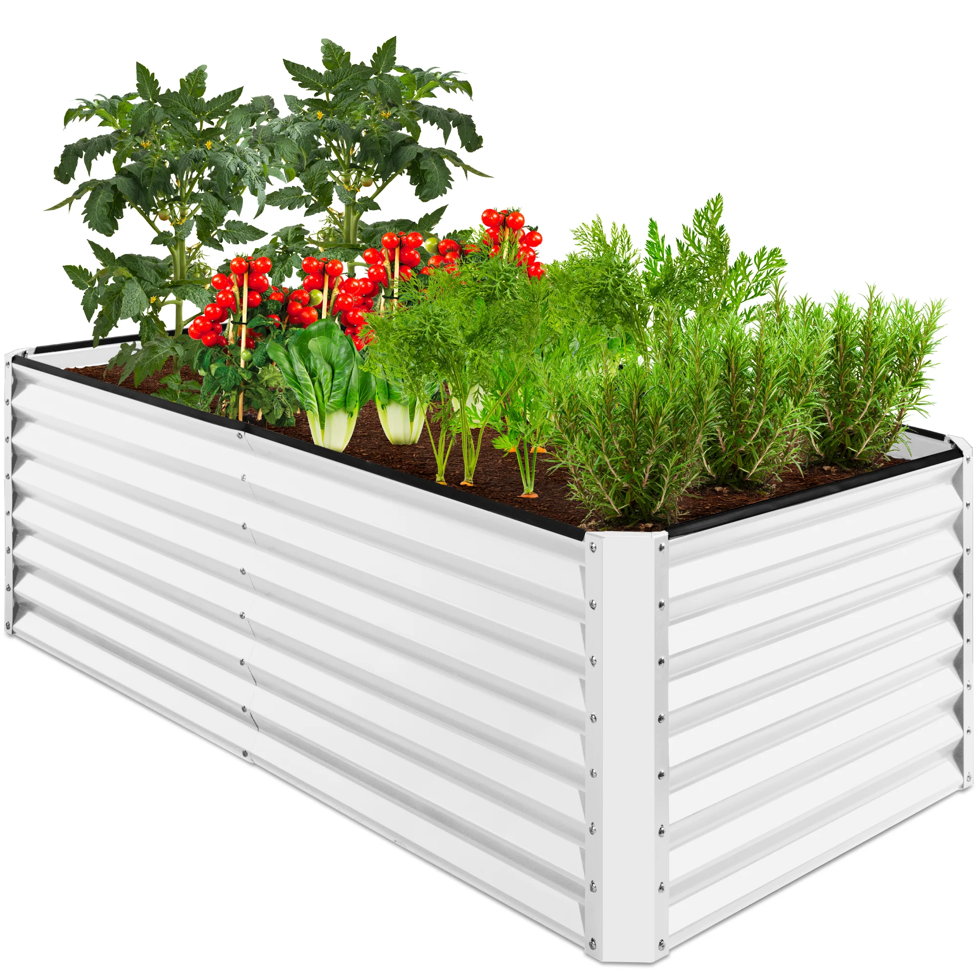 Product image 142